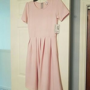 Small pink amelia dress NWT